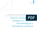 T6 Contaminantes