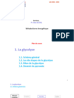 Capsule Energétique Glycolyse - 2022-2023