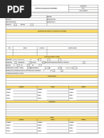 Csi-Bod-F-06 R3 Control de Salidas No Conformes