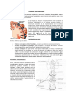 05.08 Conceptos Básicos Del Dolor Dr. Droguett