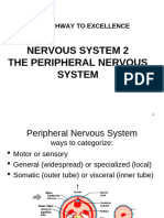 Ex-Path PNS