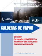 Calderas de Vapor 2024