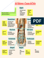 Cuadrantes Del Abdomen y Causas Del Dolor