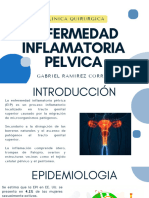 Enfermedad Inflamatoria Pelvica