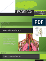 Esófago. Dra Suarez