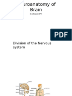 Neuroanatomy of Brain