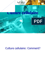 L3 Biochimie Culture Cellulaire Chapitre 02