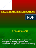 4-Biotransformation DPT