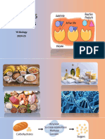 Enzymes: Y9 Biology 2024-25