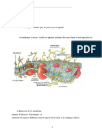 4 - Membrane