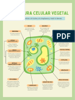 Biología Célula Vegetal 