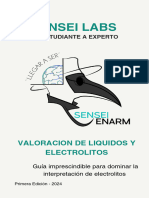 Sensei Labs - Electrolitos - 241103 - 173037