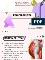 REGION GLUTEA Prof. PATRICIA