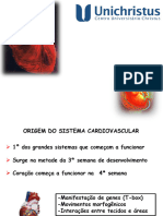 Aula 13 Embriologia Sistema-Cardiovascular