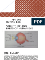 Human Eye Presentation