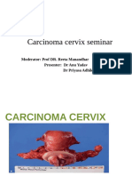 Carcinoma Cervix Seminar: Moderator: Prof DR. Reeta Manandhar Presenter: DR Anu Yadav DR Priyasa Adhikari