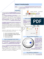 2° - Imunocromatografia