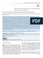 Culture Medium On Oocyte Maturation Rates and in Vitro Fertilization in Pesisir Cattle