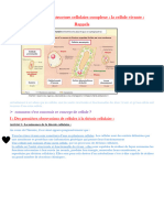 Courscellule 24