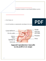 Reproduction Et Comportements Responsables