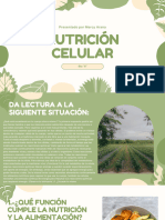 Nutricion Celular