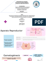 Biologia de La Concepcion - GINECOOBSTETRICIA II