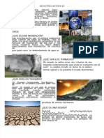 PDF Desastres Naturales