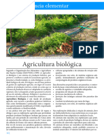 CE - Biologia - Fotossíntese - Agricultura Biologica - DNA