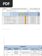 Taller IPERC PSICOSOCIAL