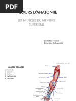 C 3 Muscles de L'avant Bras Et de La Main