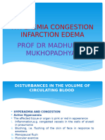 Hyperemia Congestion