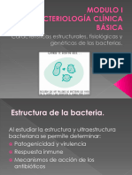 Tema 2 de Bacteriologia