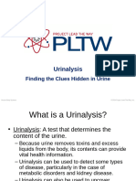 3.4.5.A Urinalysis