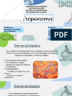 Seminario Treponema