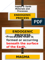 Chapter 5 Endogenic Process