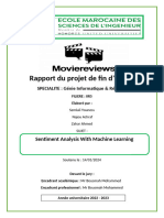 Fin Rapport Pfa