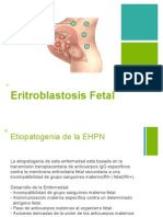 Eritroblastosis Fetal