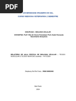 Relatorio - Tecido Muscular e Tecido Nervoso