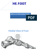 Detailed Anatomy FOOT AND ANKLE, Gross Anatomy, Embryology