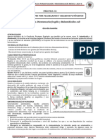 Practica 4