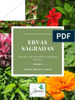 E-Book Ervas Sagradas