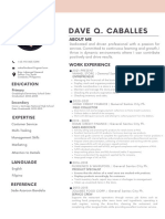 Dave CV