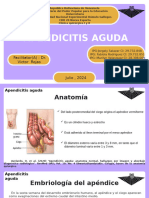 Apendicitis Aguda