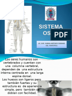 Sistema Osteoarticular