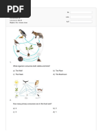 Quizizz - Food Webs