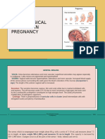 Obstetrics Ppt