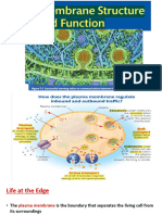 (7) membrane structure and function