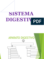 SISTEMA DIGESTIVO 3-5.ppt (1) (1)