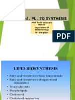 Lipid FA TG and PL Choles in Brief Synthesis Ppt Aug 21-2