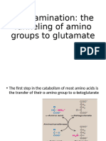 Trans Amination and Deamination